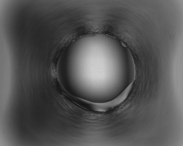 X0000093420384200710121148