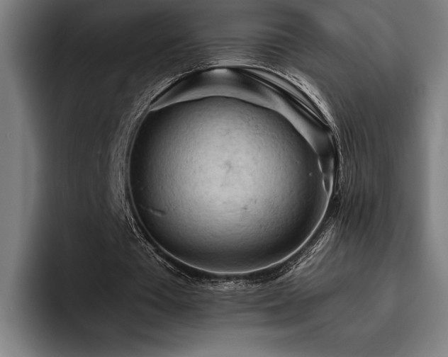 X0000093420385200710121147