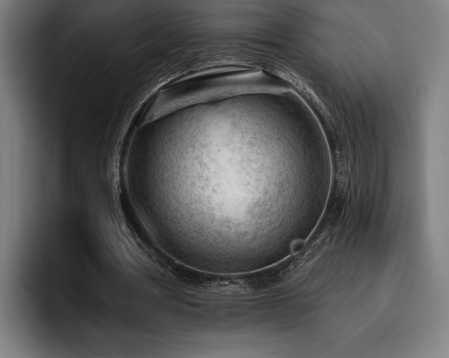 X0000093420386200710121147