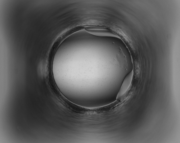 X0000093420392200710121147