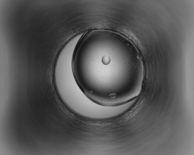 X0000093420393200710121147