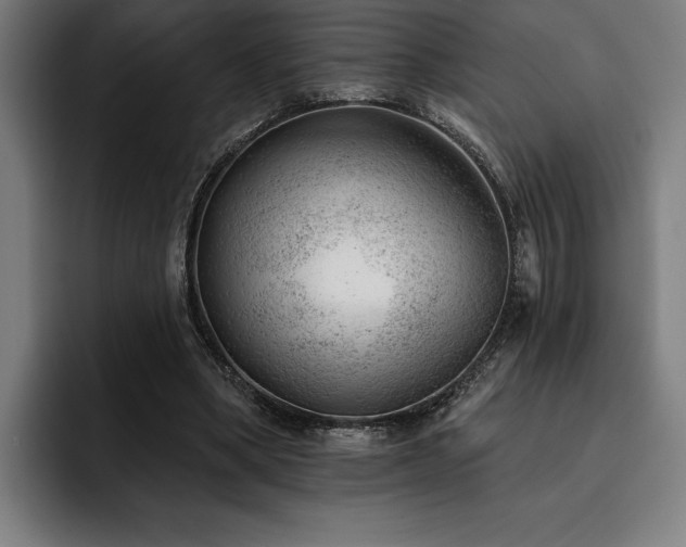 X0000093420394200710121147