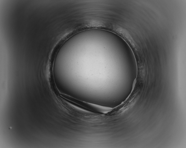 X0000093420395200710121147