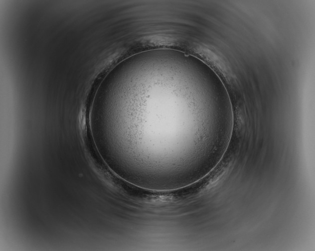 X0000093420398200710121147