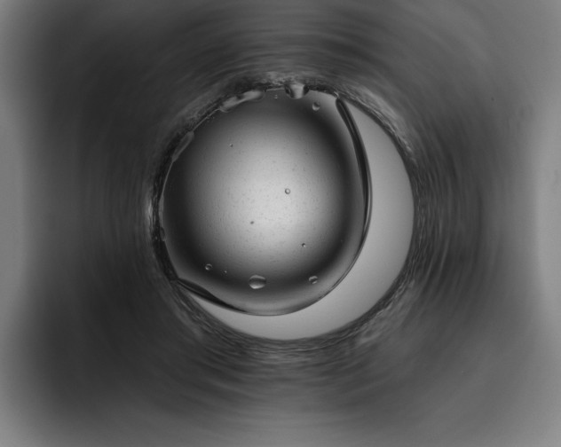 X0000093420405200710121147