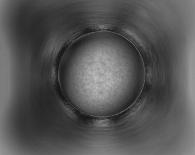 X0000093420410200710121147