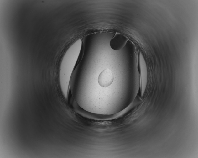 X0000093420411200710121147