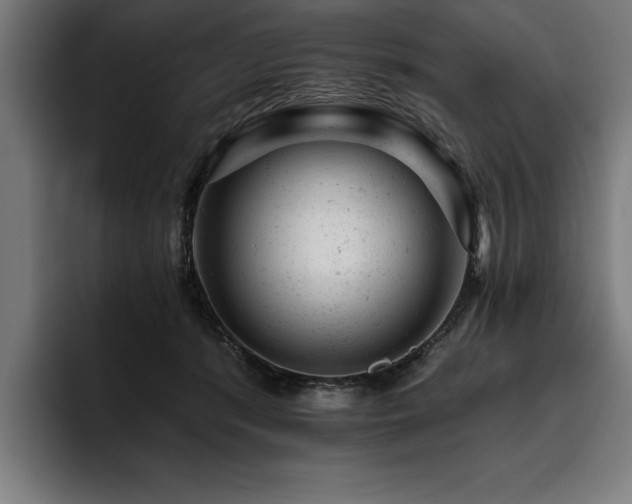 X0000093420416200710121147