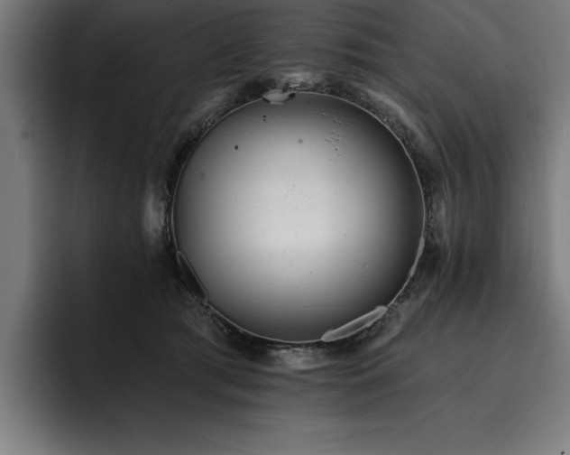 X0000093420417200710121147