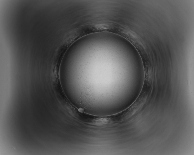 X0000093420418200710121147