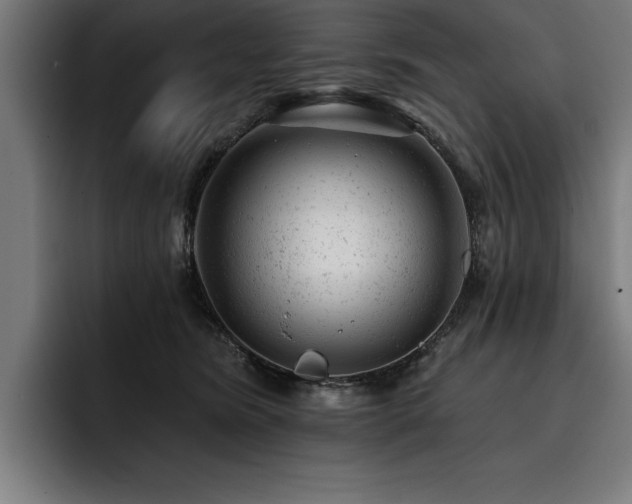 X0000093420420200710121147