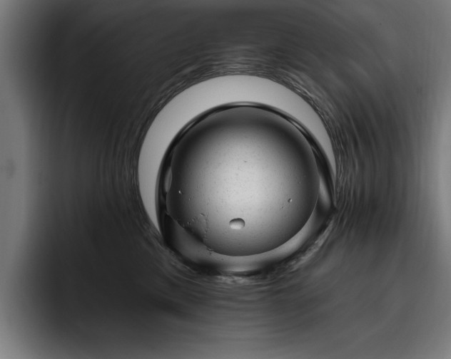 X0000093420425200710121147