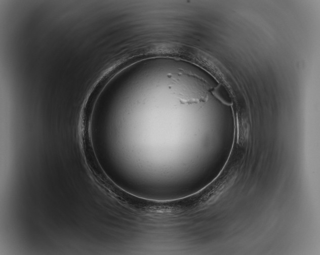 X0000093420435200710121146