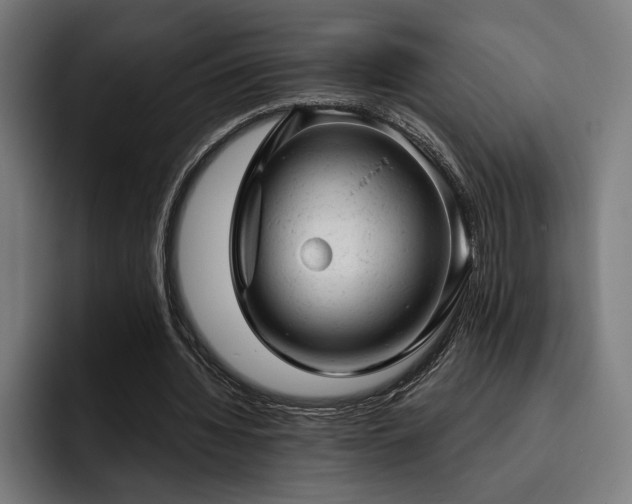 X0000093420436200710121146