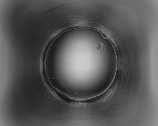 X0000093420437200710121146