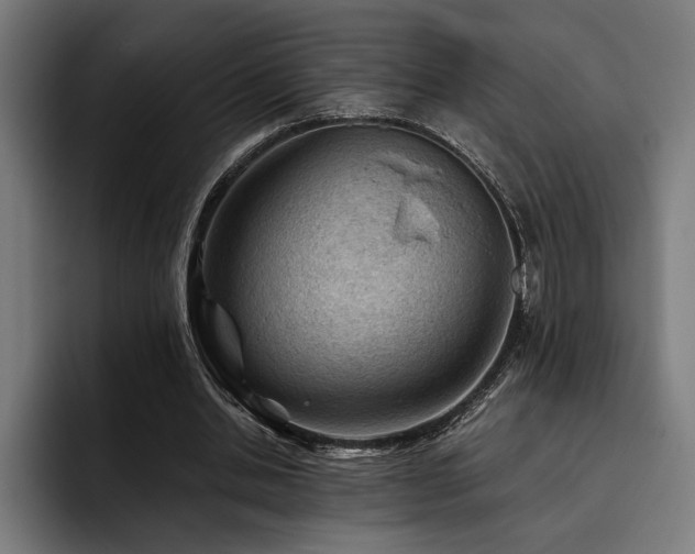 X0000093420438200710121146