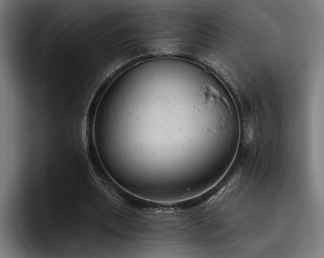 X0000093420439200710121146