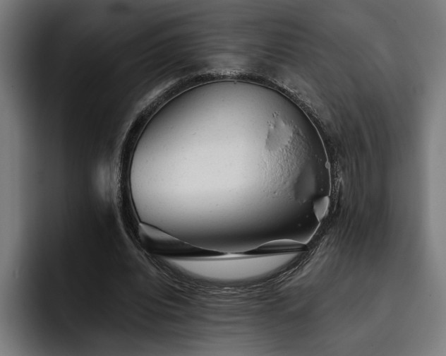 X0000093420440200710121146