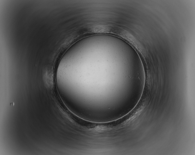 X0000093420441200710121146