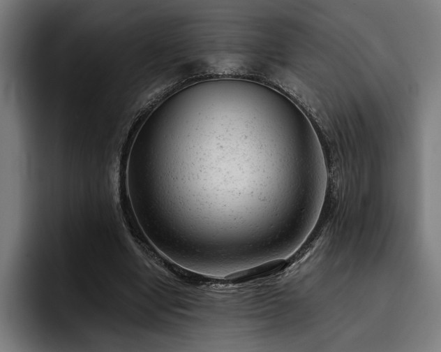 X0000093420442200710121146