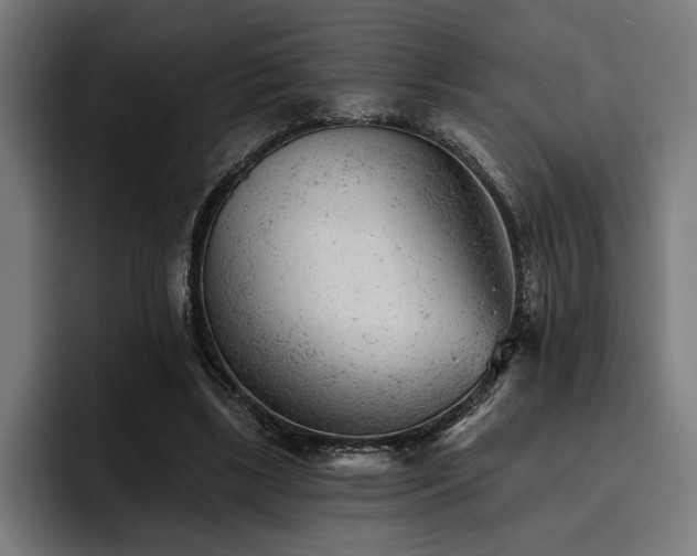 X0000093420443200710121146
