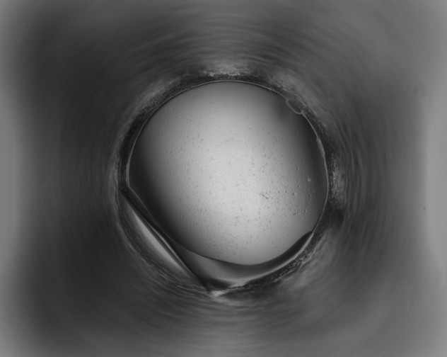 X0000093420444200710121146