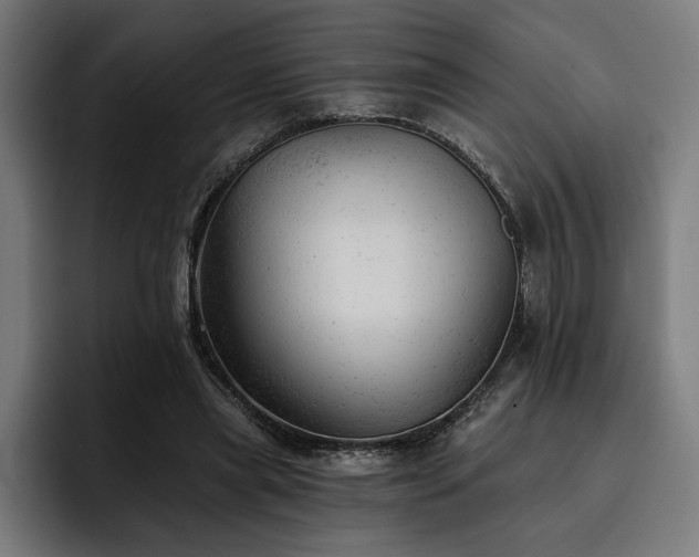 X0000093420445200710121146