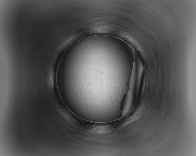 X0000093420446200710121146
