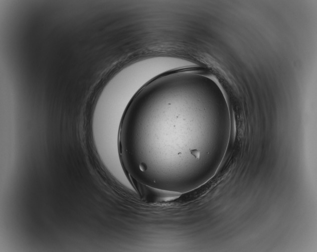 X0000093420448200710121146