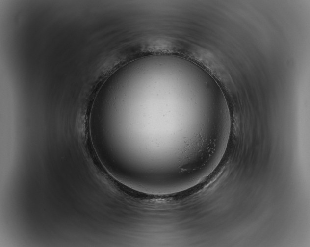 X0000093420449200710121146
