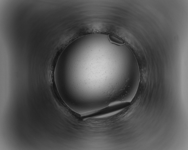 X0000093420450200710121146