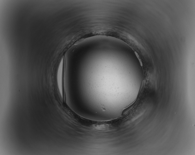 X0000093420452200710121146