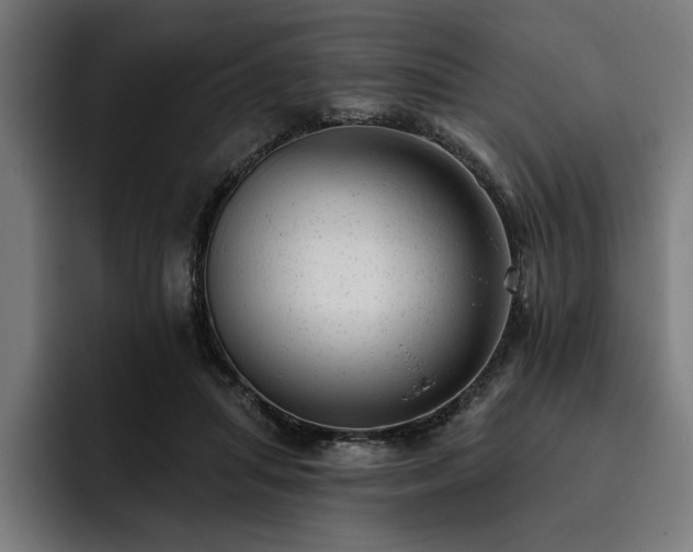 X0000093420455200710121146