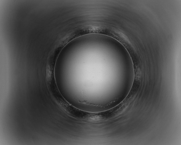 X0000093420456200710121146