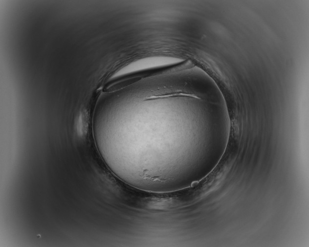 X0000093420458200710121147