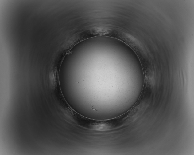 X0000093420460200710121147