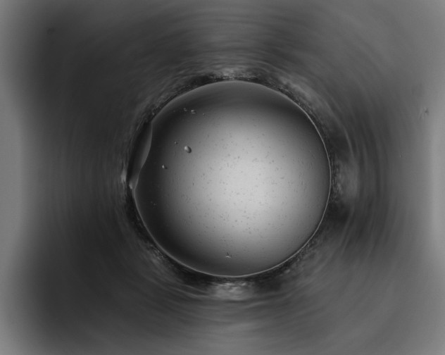 X0000093420461200710121147