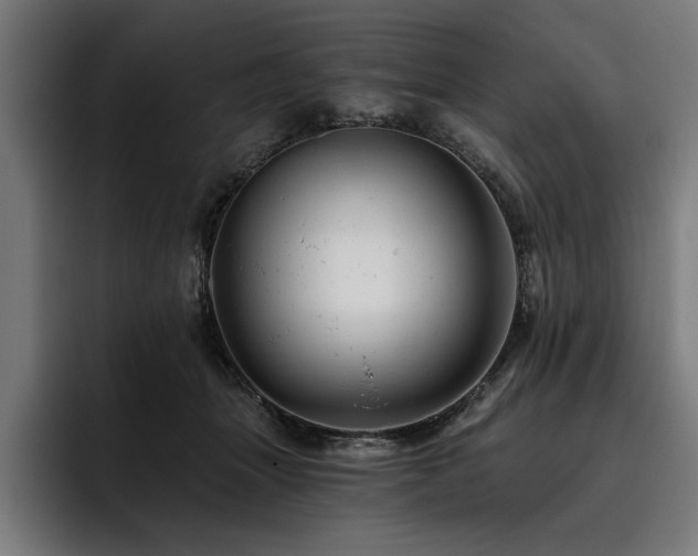 X0000093420463200710121147