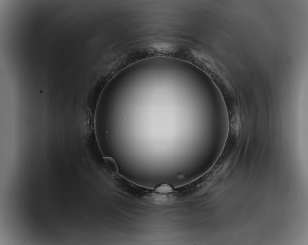 X0000093420464200710121147