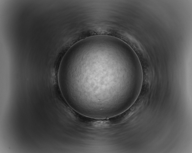 X0000093420465200710121147