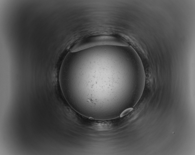 X0000093420466200710121147
