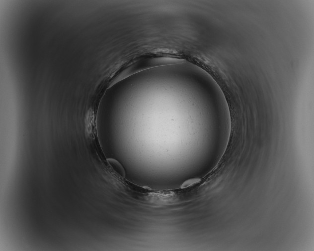 X0000093420480200710121147