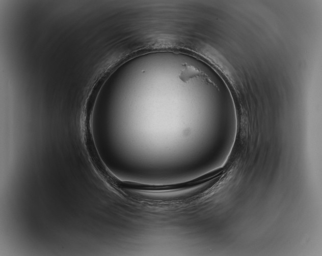 X0000093420485200710121146