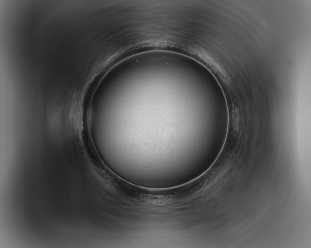 X0000093420486200710121146