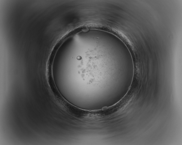 X0000093420487200710121146