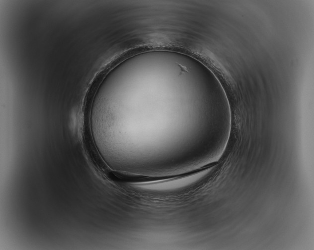 X0000093420488200710121146