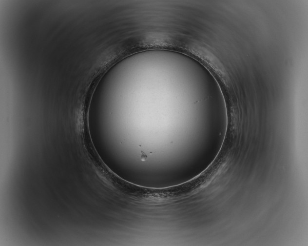 X0000093420489200710121146