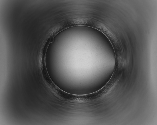 X0000093420490200710121146