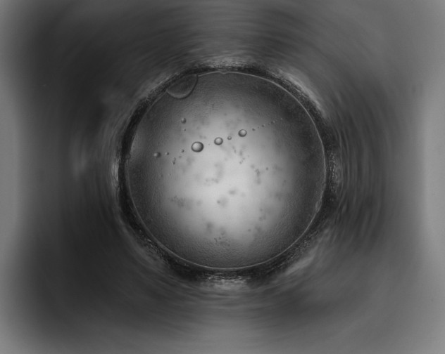 X0000093420491200710121146