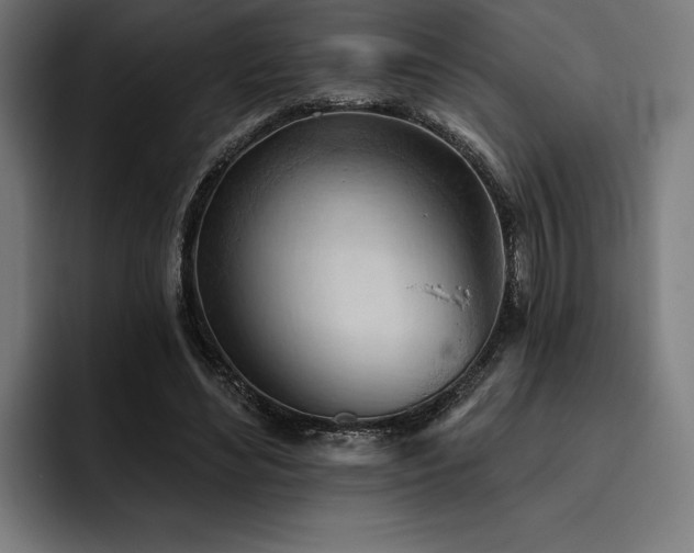X0000093420492200710121146